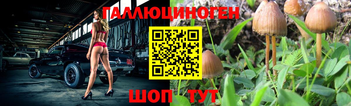 Фурманов  Псилоцибиновые грибы Psilocybine cubensis  Вход с VPN  Галлюциногенные грибы прущие грибы 